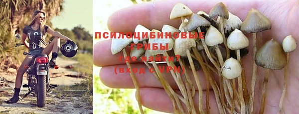 дурь Баксан