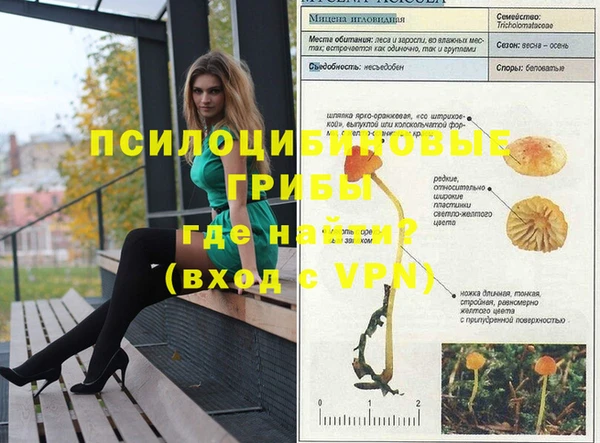 гидра Беслан